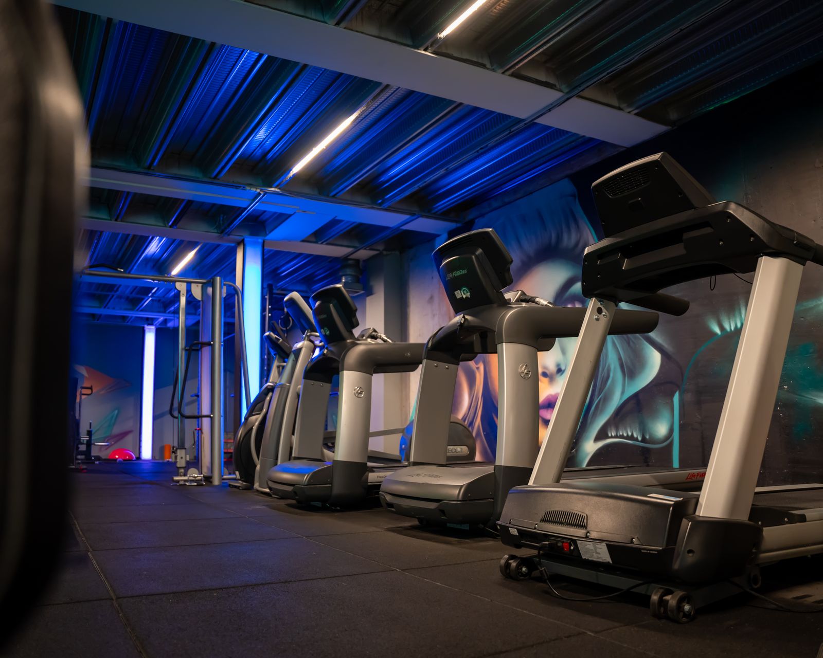 A row of treadmills in a modern gym