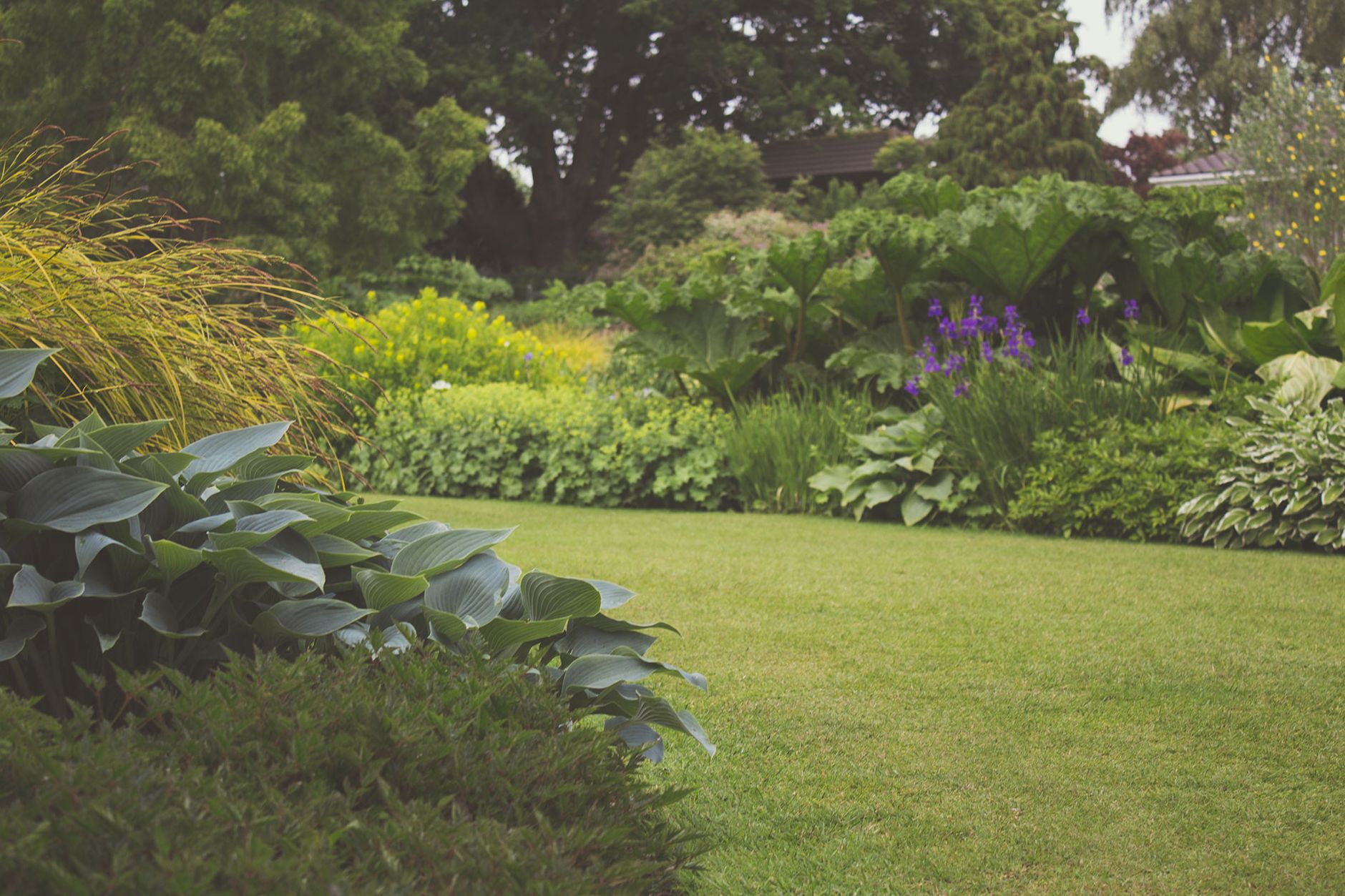 A lush landscaped backyard garden with manicured lawn and plants