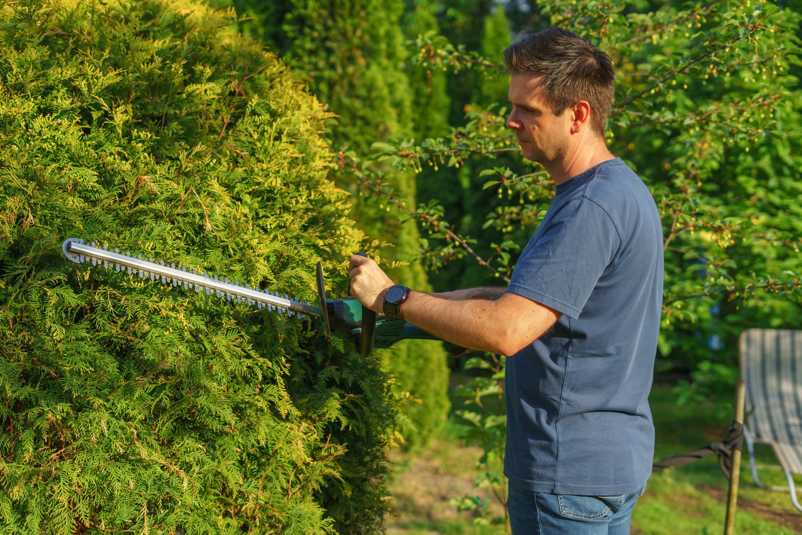 A landscaper trimming a hedge in a sunny garden