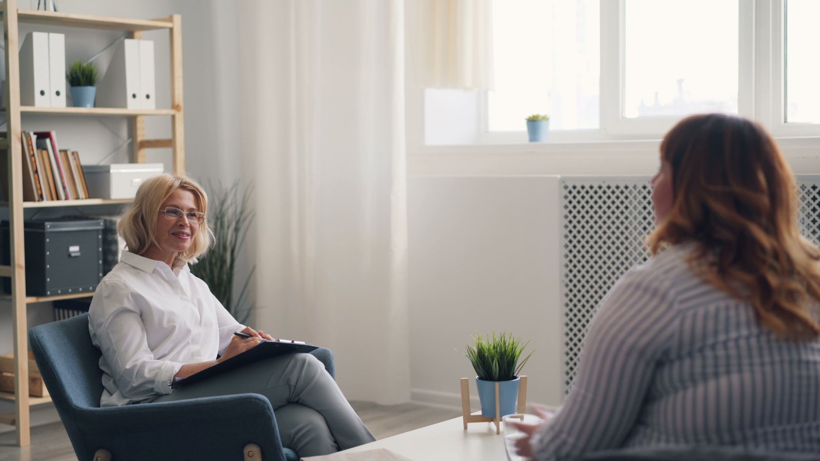 A therapist and client in a counseling session