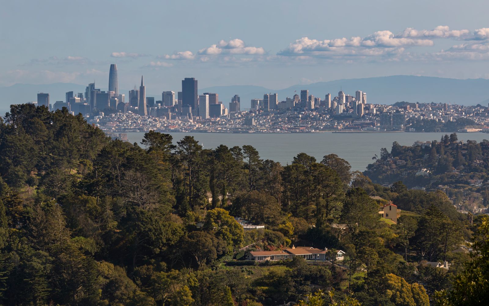View of the San Francisco skyline with Coit Tower